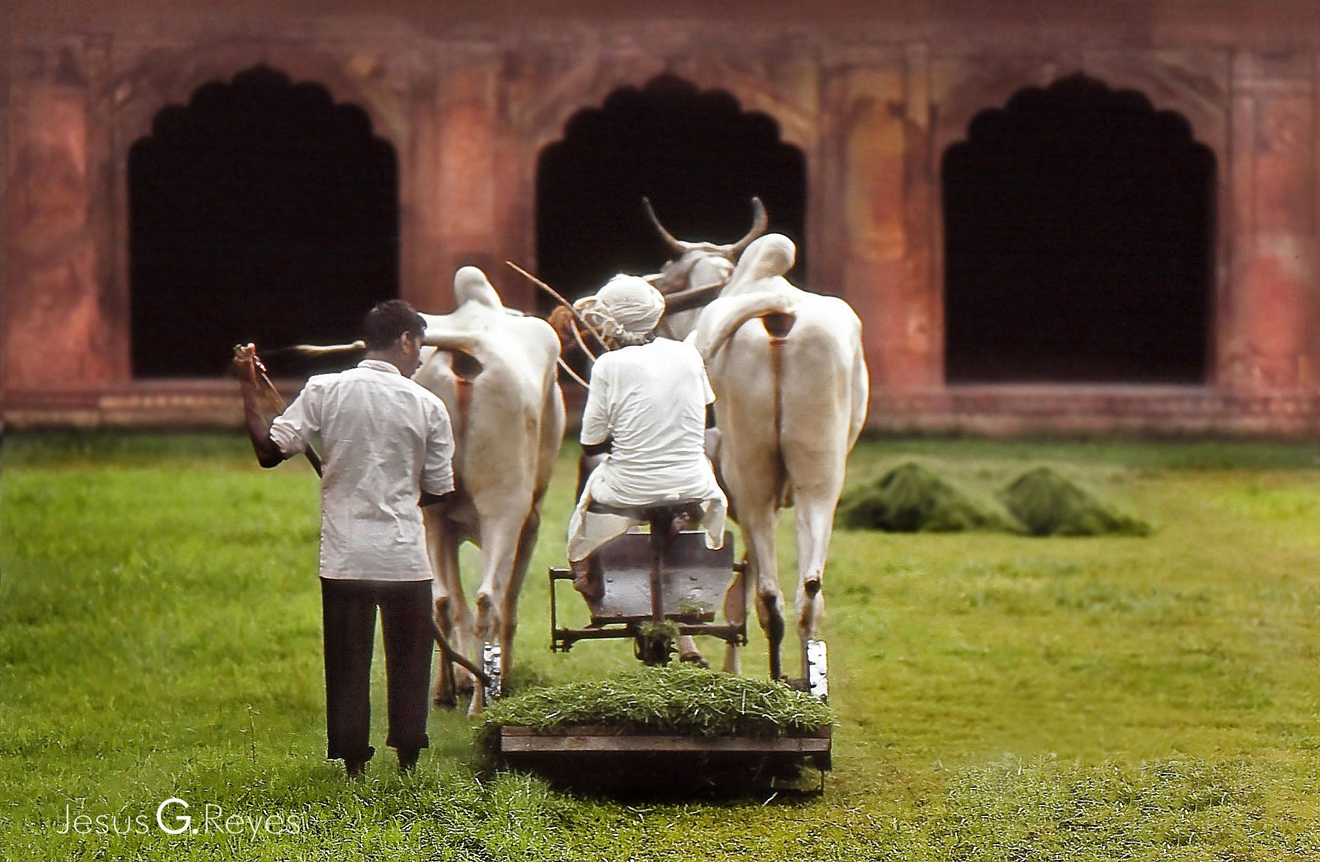 Agra. India